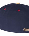 New Orleans Pelicans 2 Tone Fitted Hat