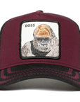 Animal Farm The Boss Ape Gorilla Snapback Trucker