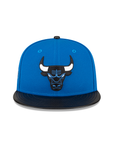 Chicago Bulls 6X Champions Royal Black 9Fifty Snapback