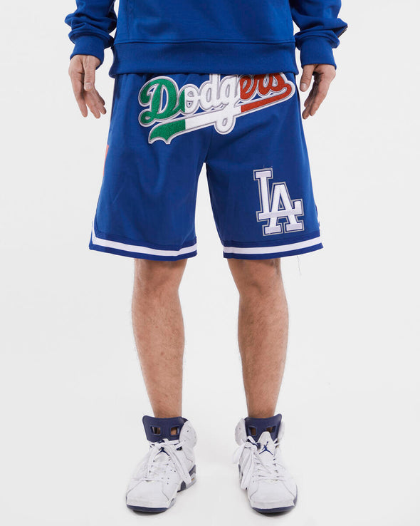 Pro Standard Los Angeles Dodgers X Mexico Wordmark Pro Team Shorts