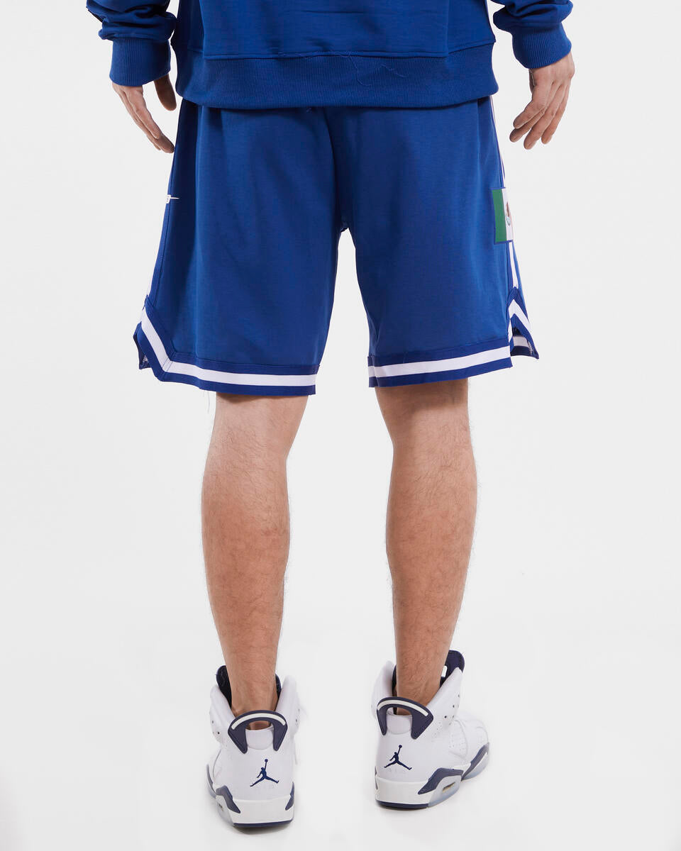 Pro Standard Los Angeles Dodgers X Mexico Wordmark Pro Team Shorts