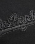 Pro Standard Los Angeles Dodgers Black Tonal Pullover Hoody