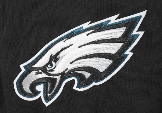 Pro Standard Philadelphia Eagles Wingspan Drop Shoulder Black Hoody