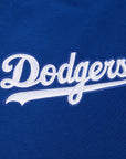 Pro Standard Los Angeles Dodgers Wingspan Drop Shoulder Blue Hoody