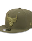 Chicago Bulls Olive Tonal Color Pack 9Fifty Snapback