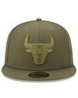 Chicago Bulls Olive Tonal Color Pack 9Fifty Snapback