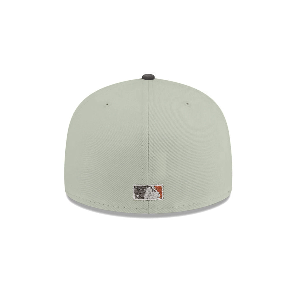 Houston Astros Green Graphite 2 Tone Astrodome SP 59Fifty Fitted