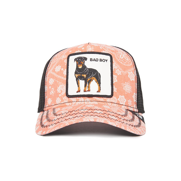 Animal Farm Paisley Bad Boy Pink Snapback Trucker