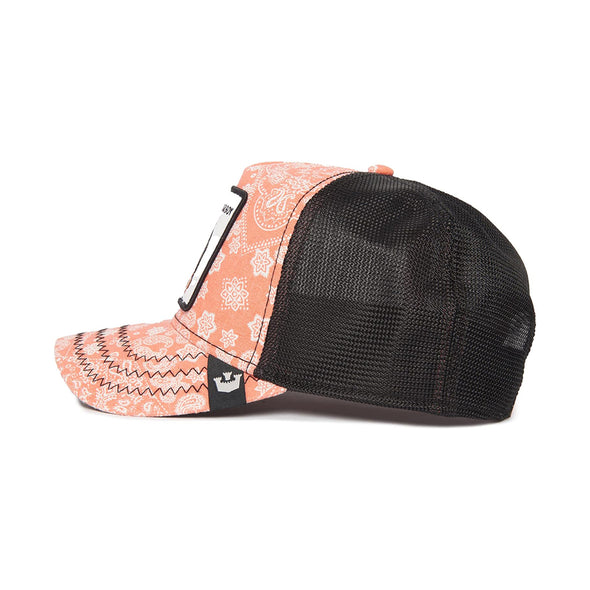 Animal Farm Paisley Bad Boy Pink Snapback Trucker