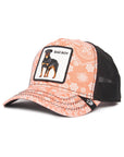 Animal Farm Paisley Bad Boy Pink Snapback Trucker