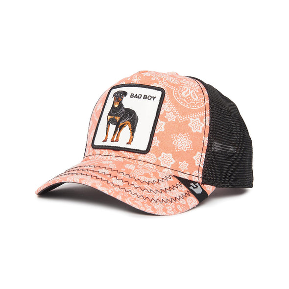 Animal Farm Paisley Bad Boy Pink Snapback Trucker