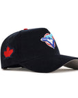 Toronto Blue Jays Navy Corduroy Leaf SP 9Forty A-Frame Snapback
