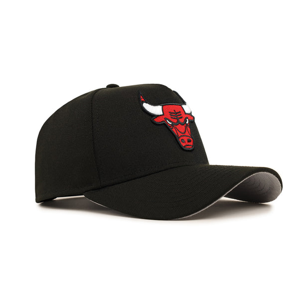 Chicago Bulls 9Forty A-Frame Team Color Snapback