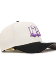Colorado Rocky Mountain CO Chrome Black 9Forty A-Frame Snapback