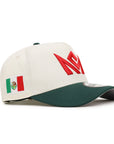 CrownMinded Chrome Green Mexico Flag SP 9Forty A-Frame Snapback