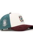 Cruz Azul Liga MX La Máquina SP 9Forty A-Frame Strapback