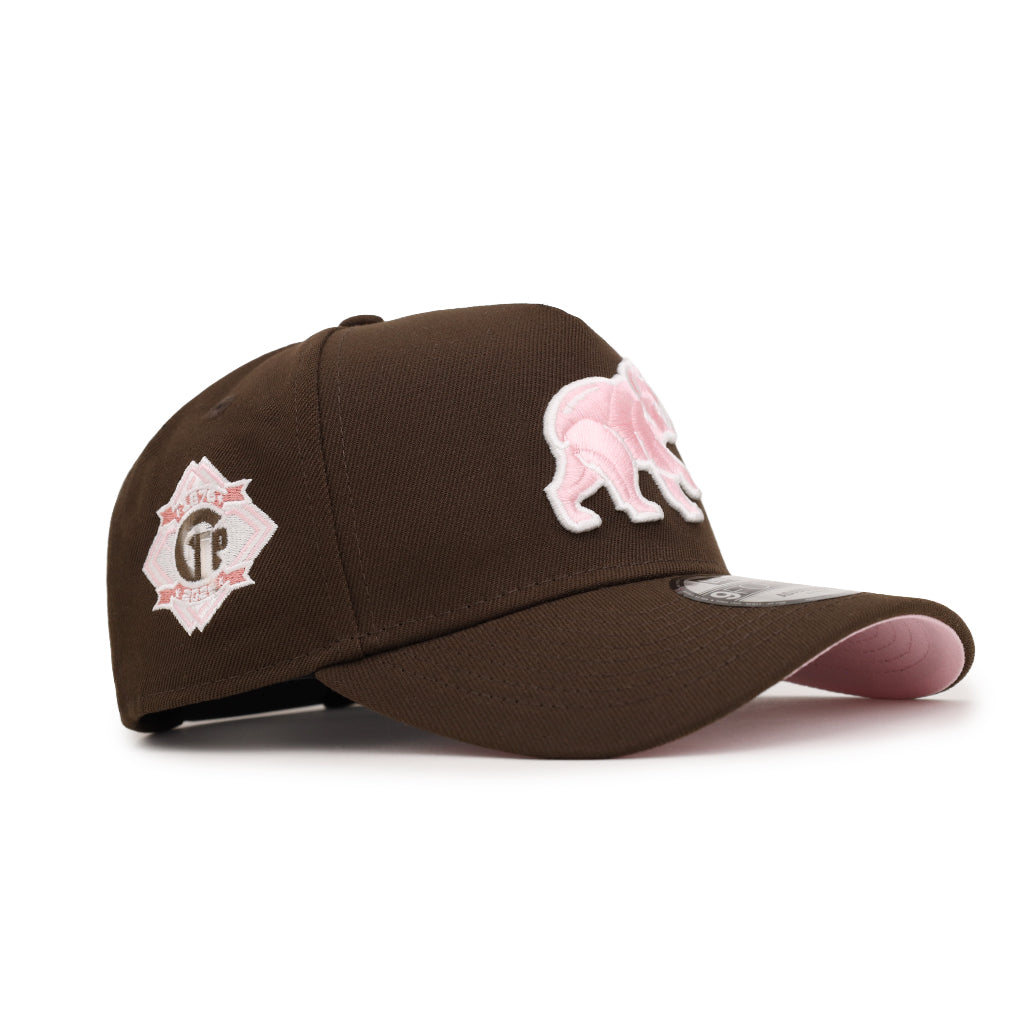 Chicago Cubs Neapolitan 150th Anniversary SP 9Forty A-Frame Snapback