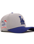 Los Angeles Dodgers Gray Royal 2 Tone 2025 World Series Champions SP 9Forty A-Frame Snapback