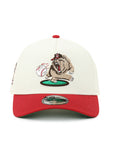 Fresno Grizzlies California Flag 2 Tone 20th Anniversary SP MiLB 9Forty A-Frame Snapback