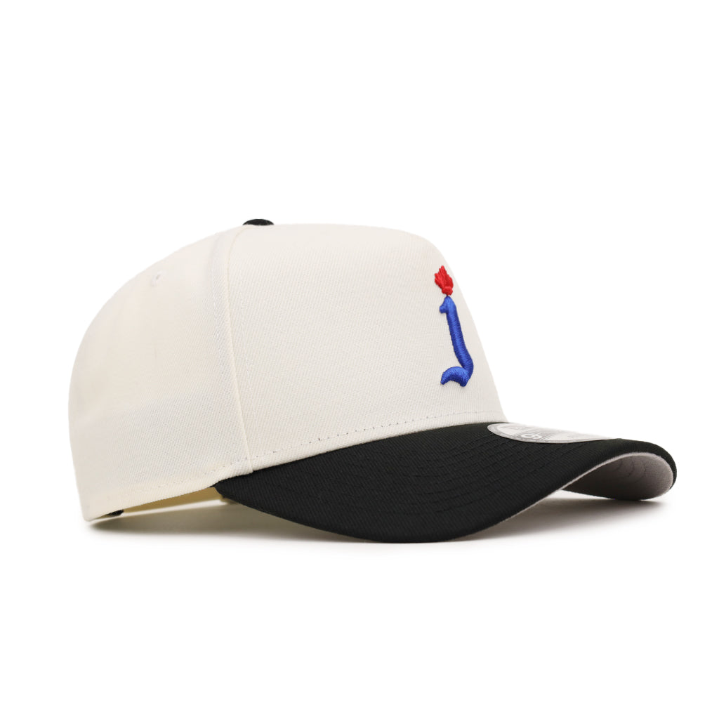 Toronto Maple Jay Chrome Black 9Forty A-Frame Snapback