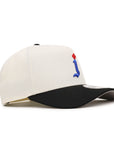 Toronto Maple Jay Chrome Black 9Forty A-Frame Snapback