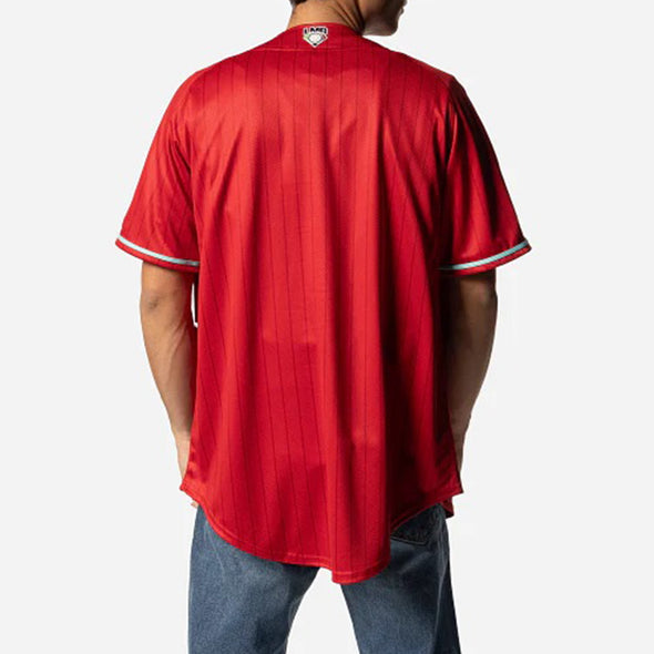 Diablos Rojos Del Mexico Club De Beisbol LMB Red Pinstripe Jersey