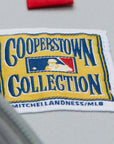 Mitchell & Ness Los Angeles Dodgers Gray On White Batting Practice Jacket