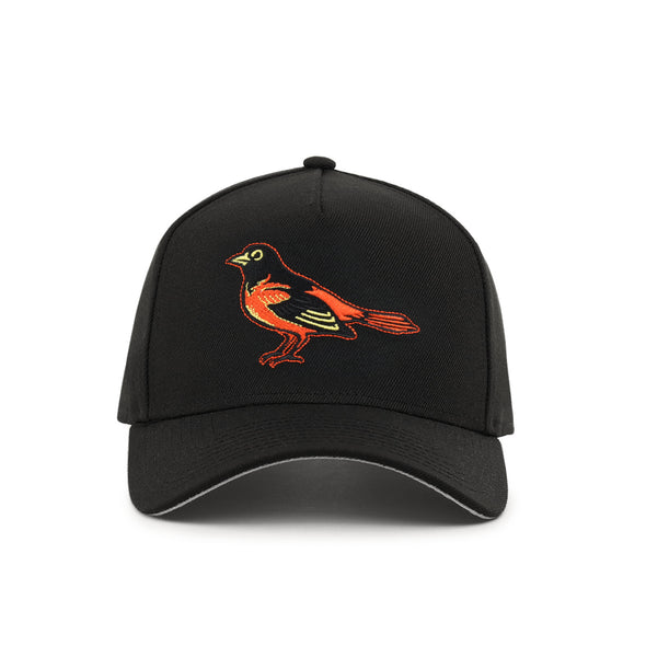 Baltimore Orioles Cooperstown 9Forty A-Frame Team Color Snapback