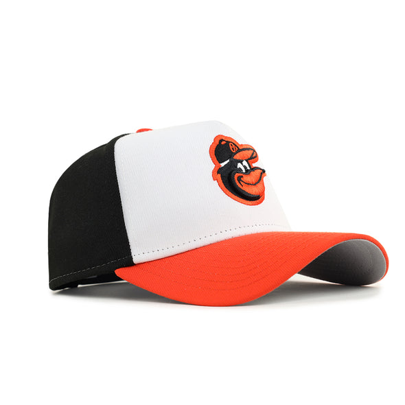 Baltimore Orioles 9Forty A-Frame Team Color Snapback