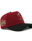 San Diego Padres Cardinal Black 2 Tone Petco Park SP 9Forty A-Frame Snapback