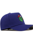Philadelphia Phillies Mascot 9Forty A-Frame Team Color Snapback