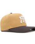 Sultanes De Monterrey Club De Beisbol Bronze Gray 2 Tone 9Forty A-Frame Snapback