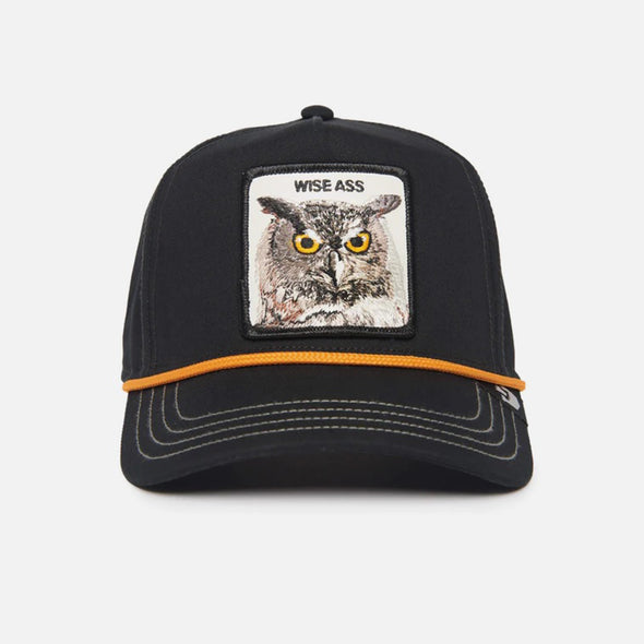 Animal Farm Wise Ass Owl Black Snapback Hat