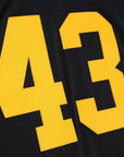 Mitchell & Ness Steelers Troy Polamalu 